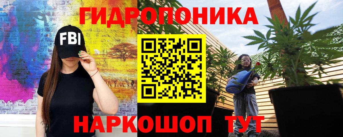 Канабис сатива Москва